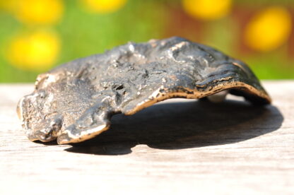 Østersskal i bronze med ferskvandsperle.