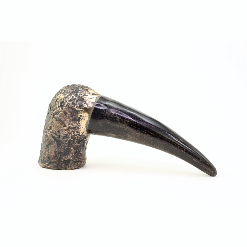 Fuglehoved i bronze og horn - mellem