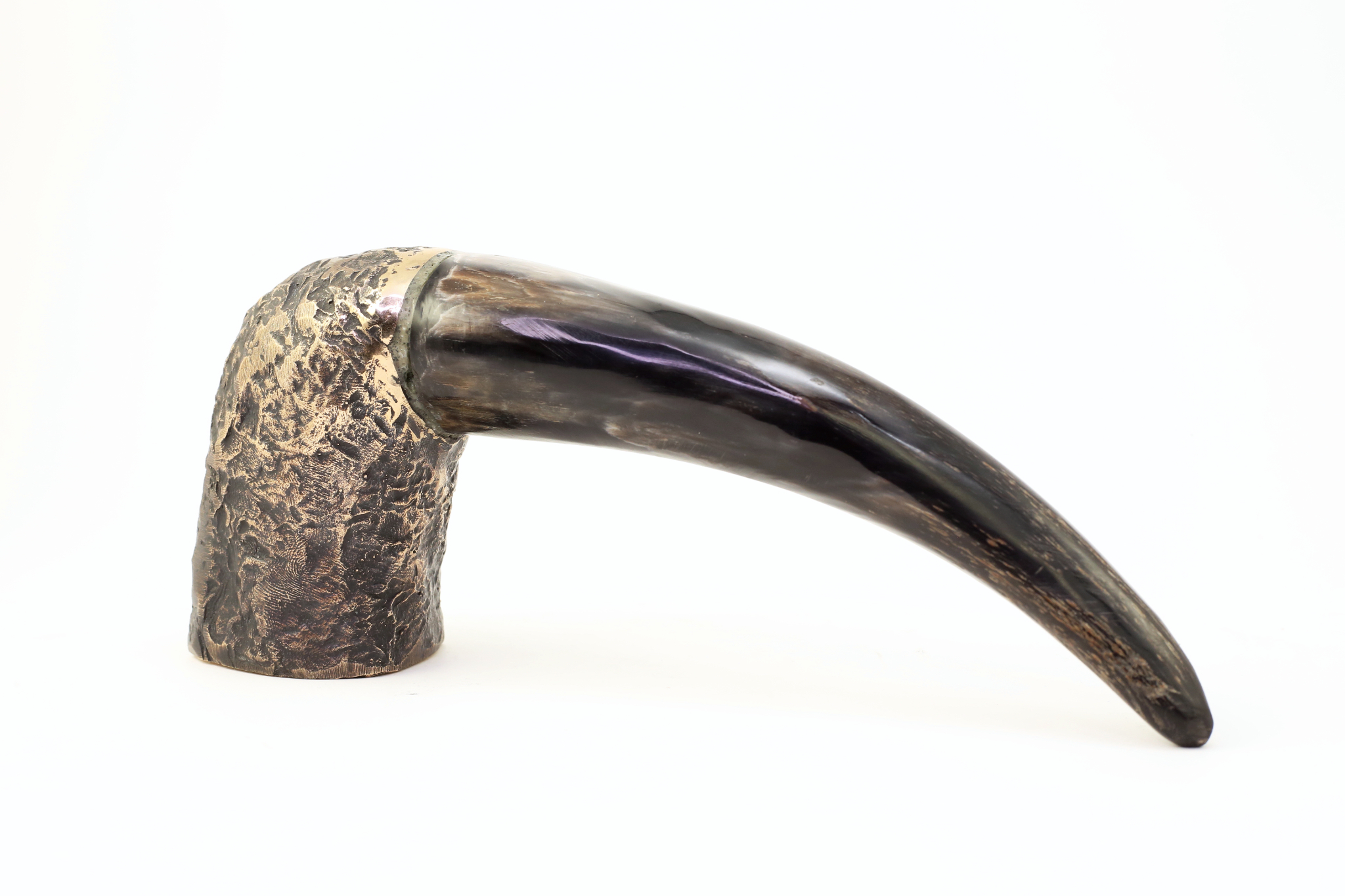 Fuglehoved i bronze og horn - N03